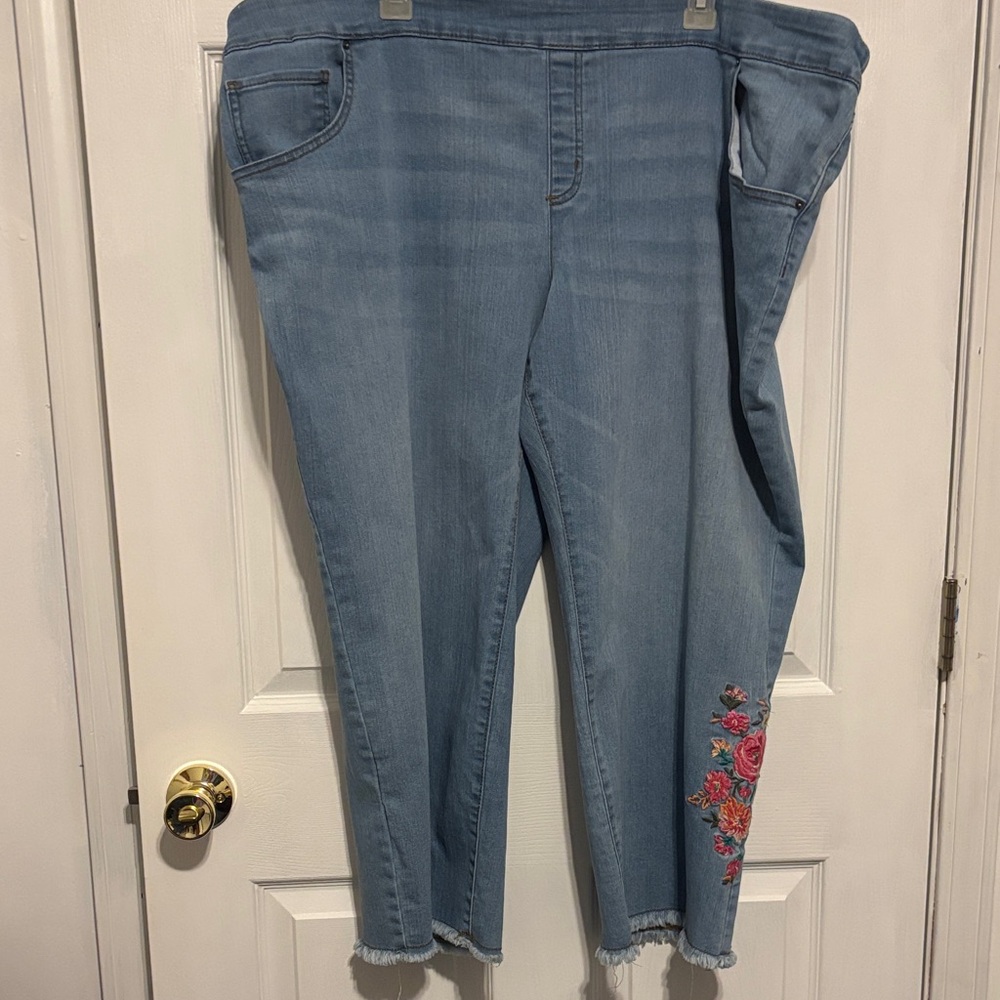 The Pioneer Woman Blue Jeans with Floral Detail